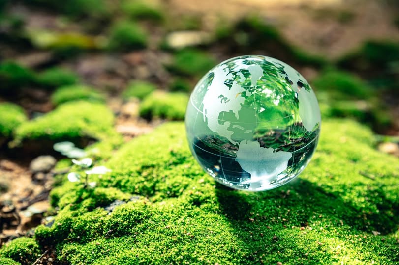 Día Mundial del Medio Ambiente